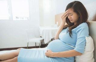 求孕在线观看,揭秘生育路上的温馨陪伴与科学指导  第2张